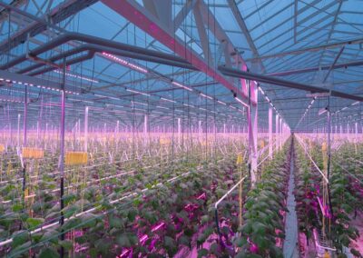 Photographie de Eclairage, Intérieur, Architecture à , Aizenay, 85, France, représentant Reportages Serres horticoles à Aizenay